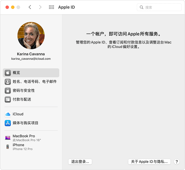 在 macOS“系统偏好设置”中,您的 Apple ID 电子邮件地址位于您的姓名下方。