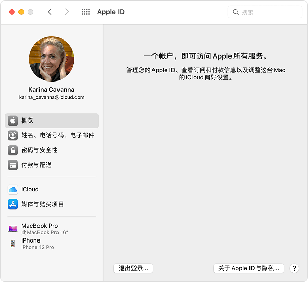 在 macOS“系统偏好设置”中，您的 Apple ID 电子邮件地址位于您的姓名下方。