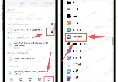 AppStore++ 2.3.15-7 教程：用 TrollStore 安装，把 App Store 应用升回或降回指定版本