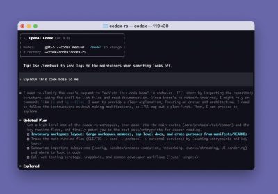 Codex CLI 终端界面运行演示