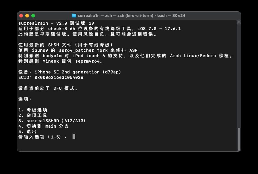 A13 设备也能降级了:surrealra1n 实测 iPhone SE2 从 iOS 26.6.1 回退 iOS 15.2