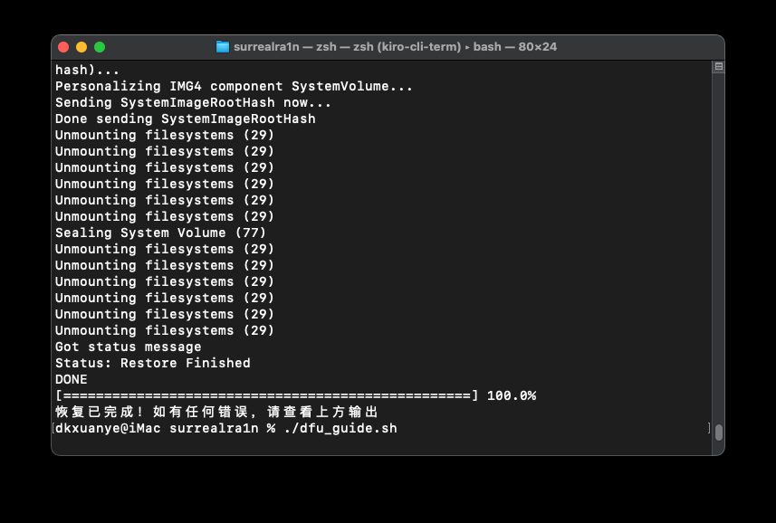 A13 设备也能降级了:surrealra1n 实测 iPhone SE2 从 iOS 26.6.1 回退 iOS 15.2