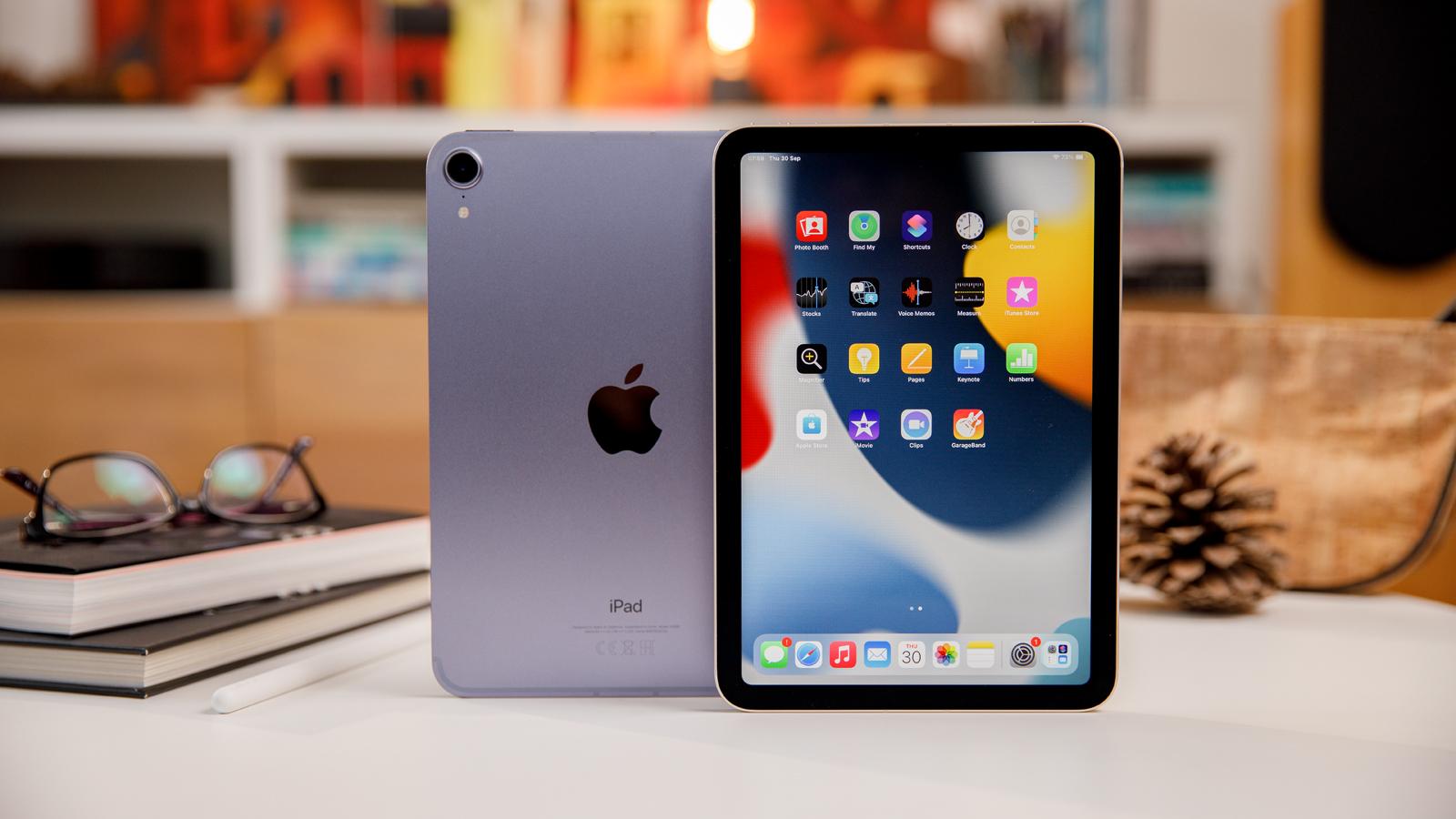 iPad mini 正面与背面同框实拍