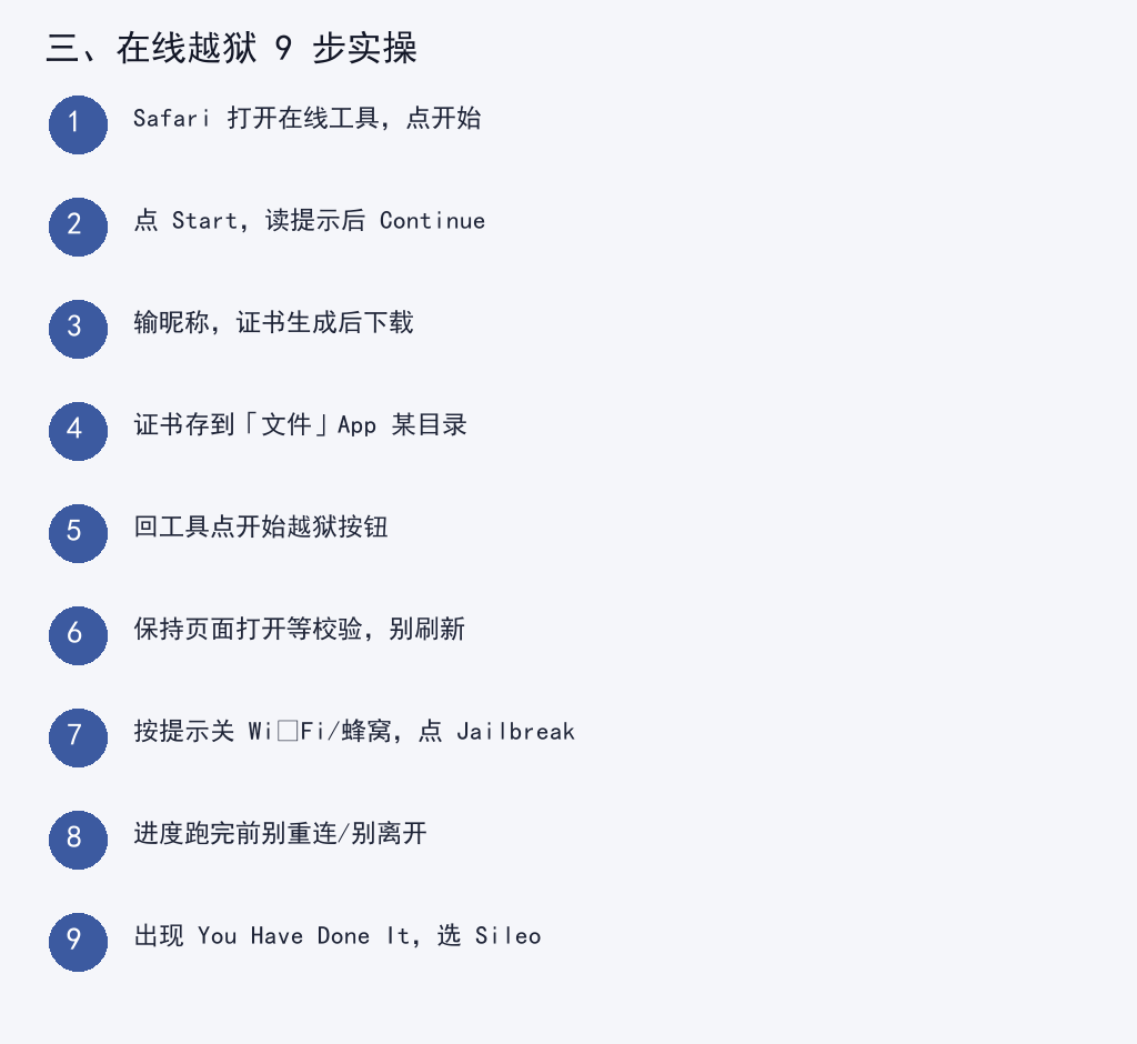 Palera1n 在线越狱九步实操流程