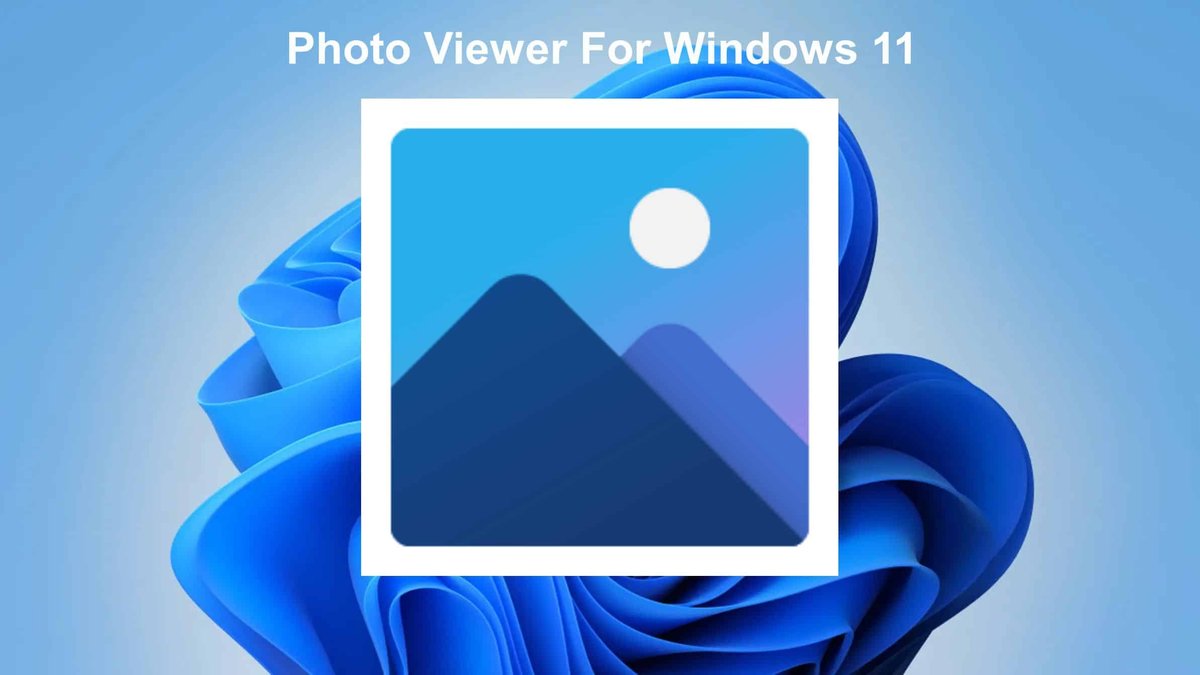 Windows 11 照片查看器图标